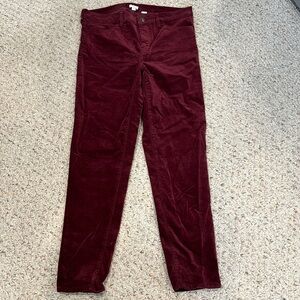 J Crew velvet pants